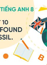 Unit 10 Theyve Found a Fossil. - Tiếng anh 8  -  Hoc10